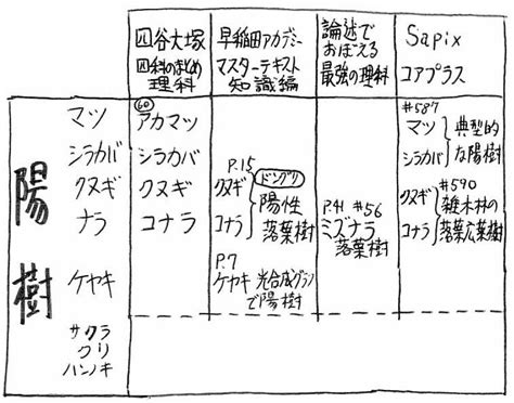 陽樹 陰樹 一覧|陰樹の特徴と陽樹の特徴 違いも解説 – 庭師の独り言